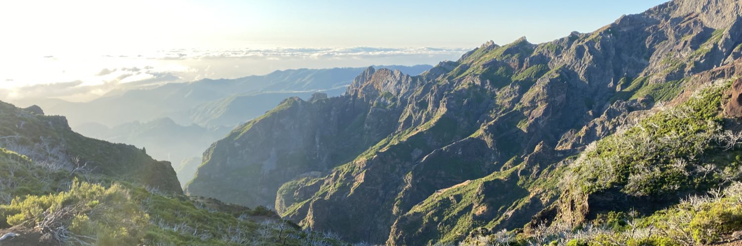 Denise Mensonides banner