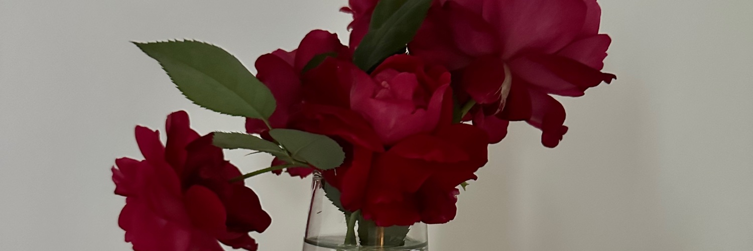 sandygd4's profile banner image