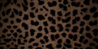 Lucia_ibernon's profile banner image