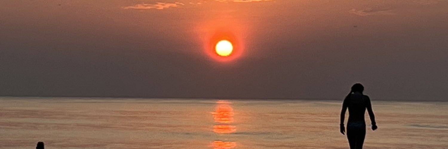 LisaVivirito's profile banner image