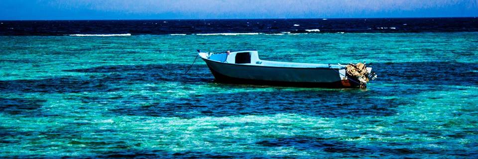 AhmadHelmy's profile banner image