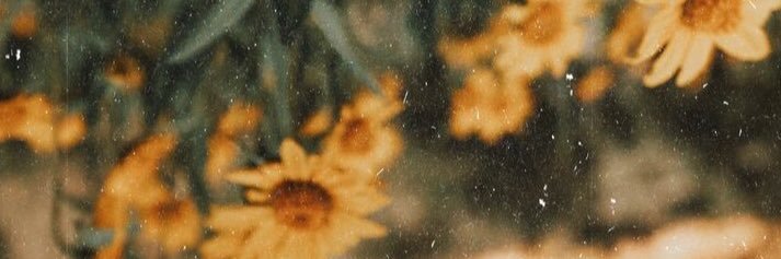 Raisha banner