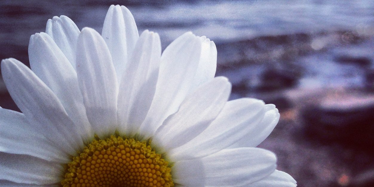 c0lestewart's profile banner image