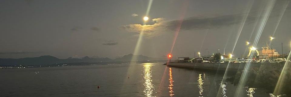 S T I C K S 🦈 banner