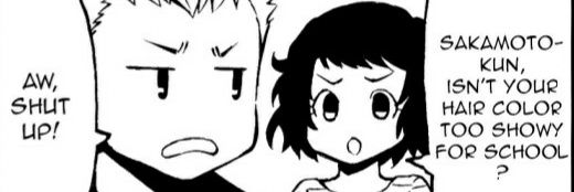 Pierre Schramm banner