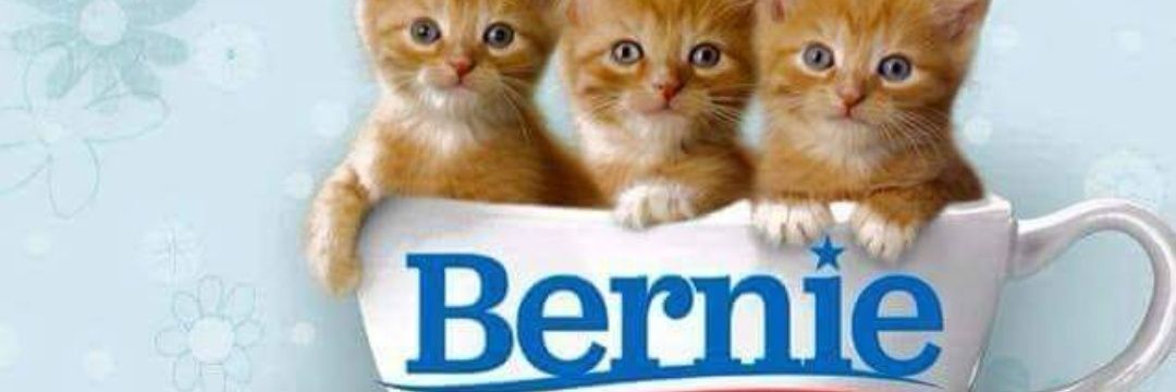goopkat's profile banner image