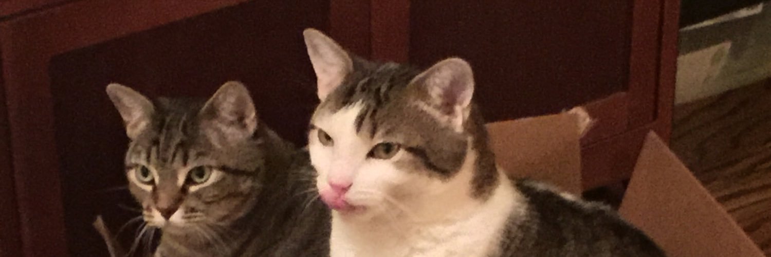 cyndymw's profile banner image