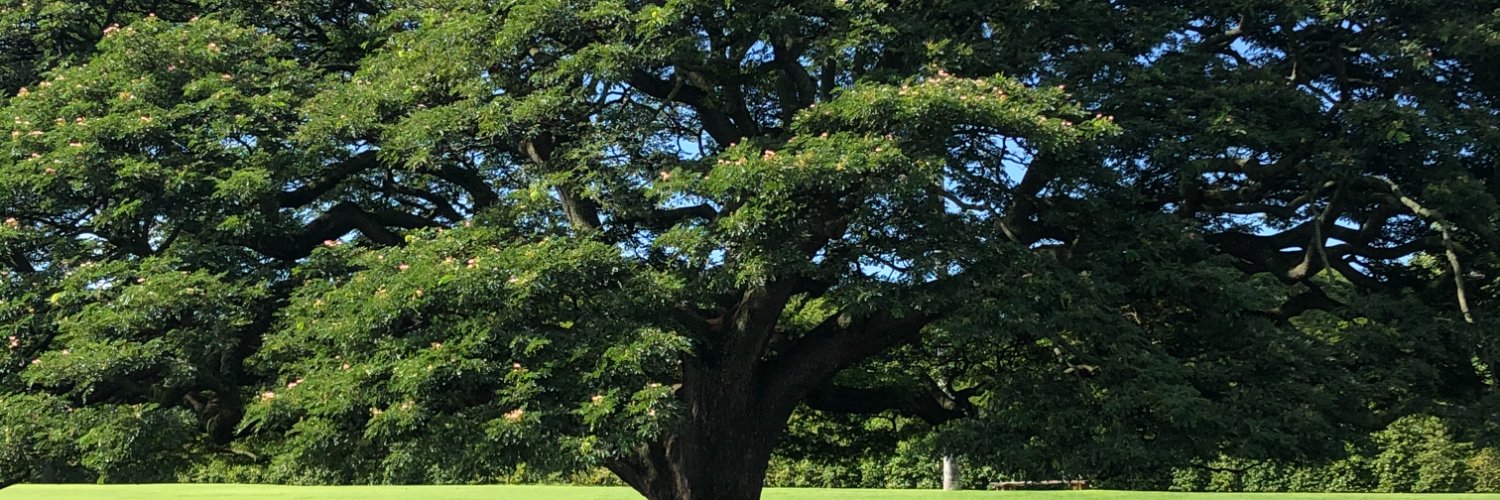 gawort (ガウォート） banner