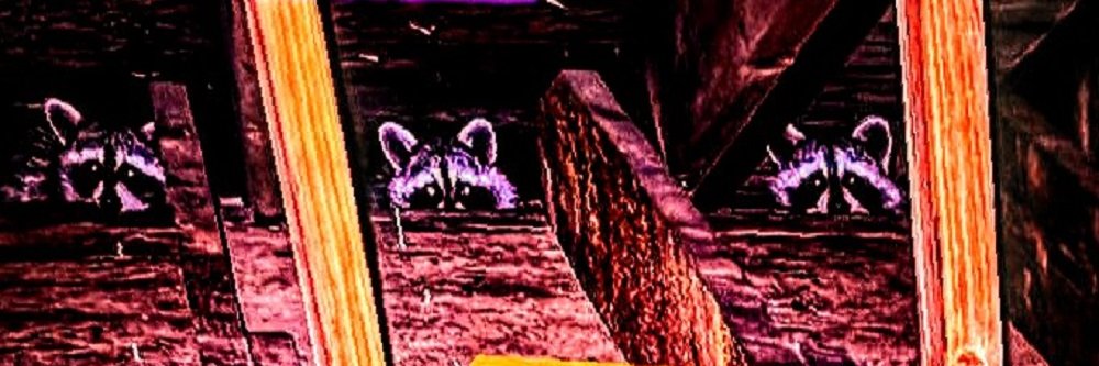 MARSHALLNO1's profile banner image