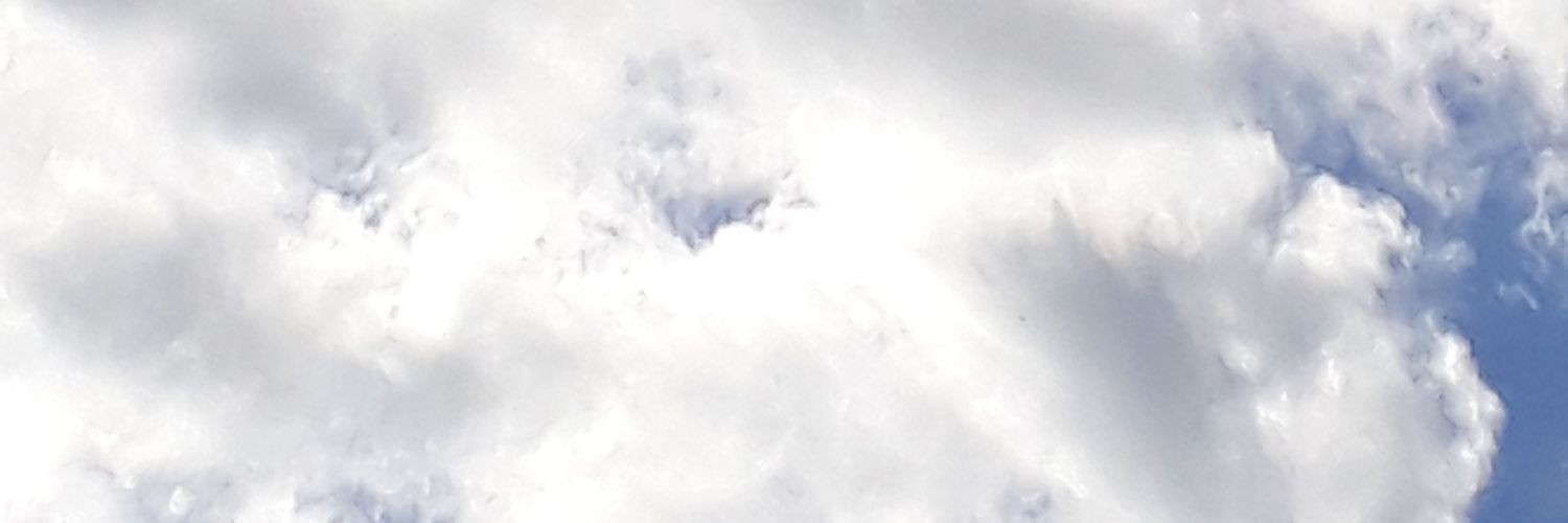 rosemereribeiro's profile banner image