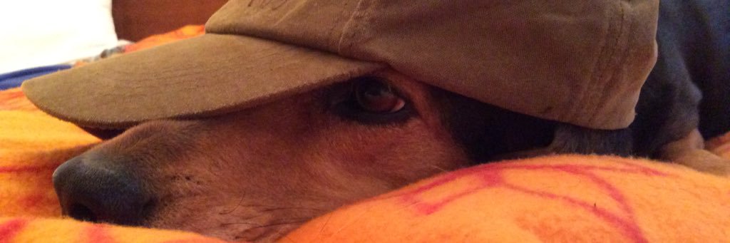 Ulrich Fritsche banner