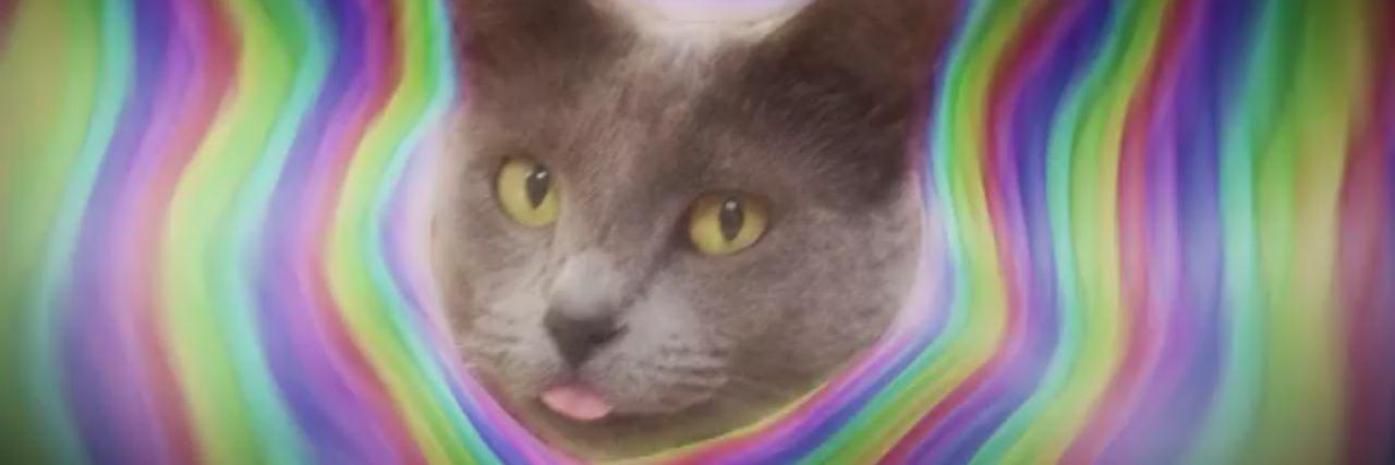TigerGaresAD's profile banner image