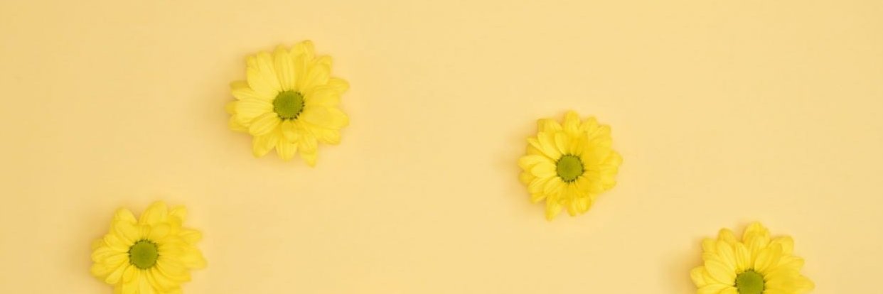 Nathioliveira09's profile banner image