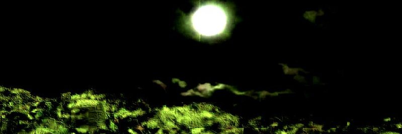 wosderge's profile banner image