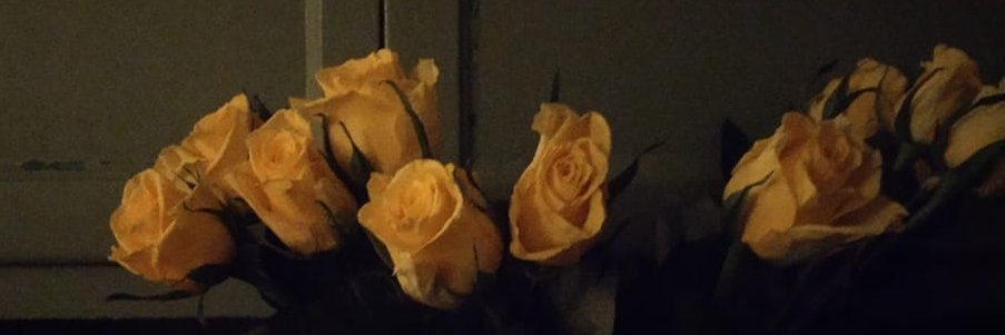 Miranda Kemp banner