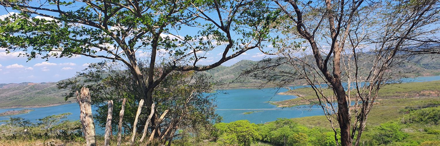 Milagro Viloria banner