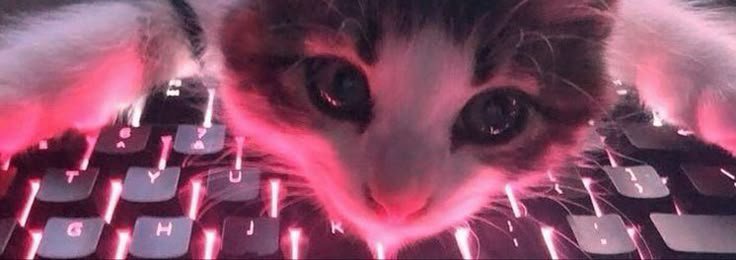 seddar's profile banner image