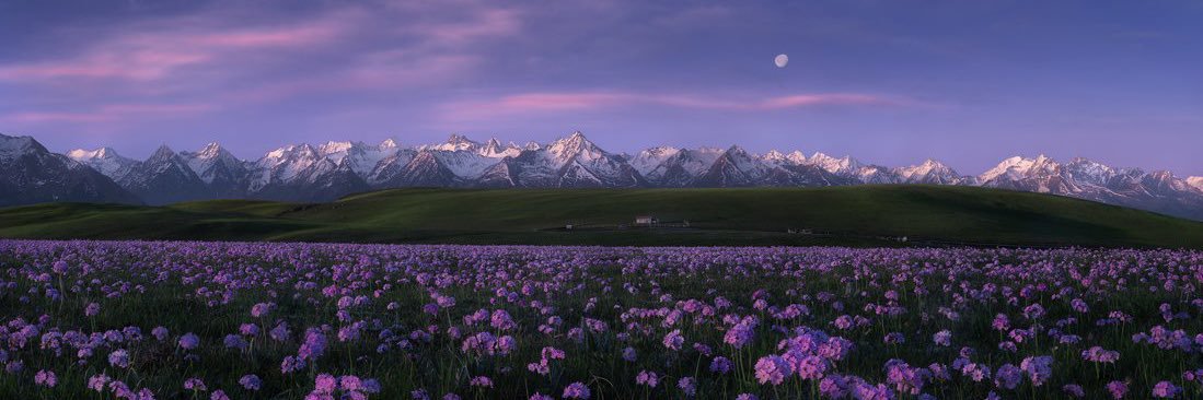 hsilvaya's profile banner image
