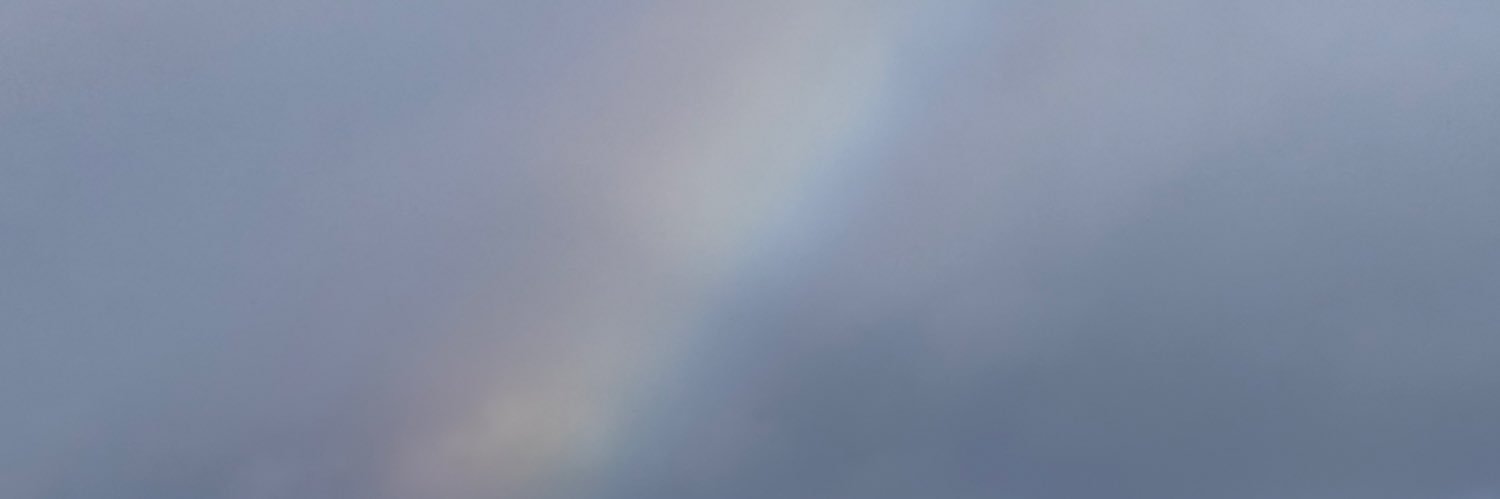 cecibloser's profile banner image