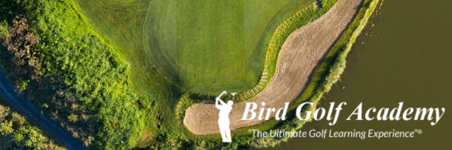 BirdGolf's profile banner image
