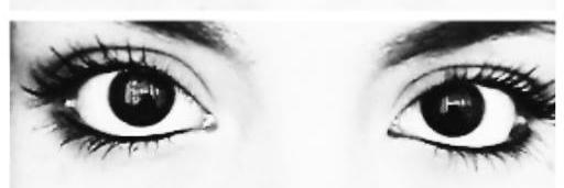 OurEndlessLovee's profile banner image