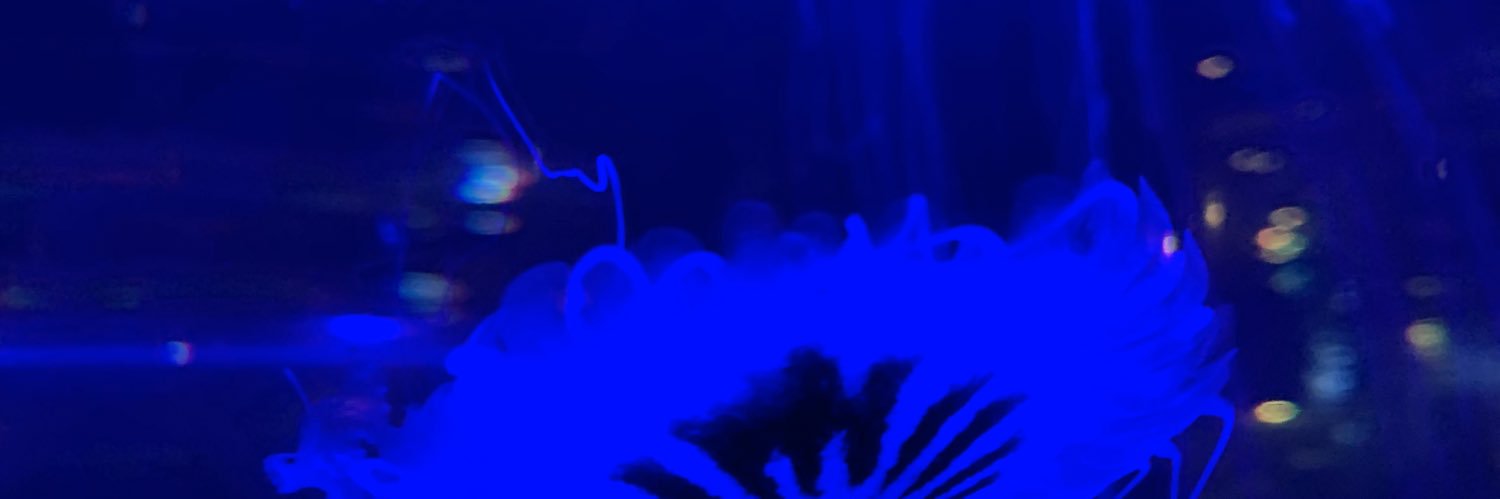 Twch09's profile banner image