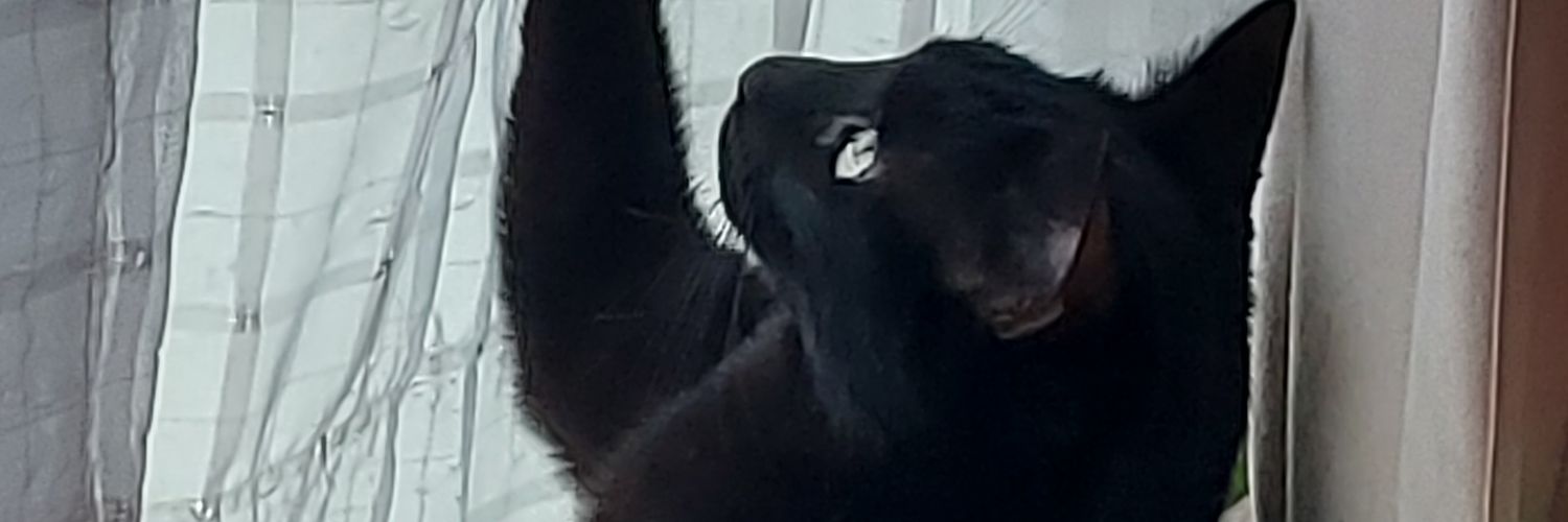 Maggy_nl's profile banner image