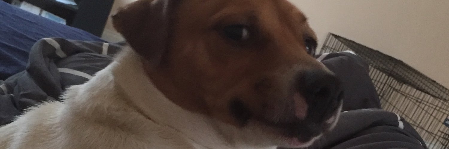 THEtreMAYNE's profile banner image