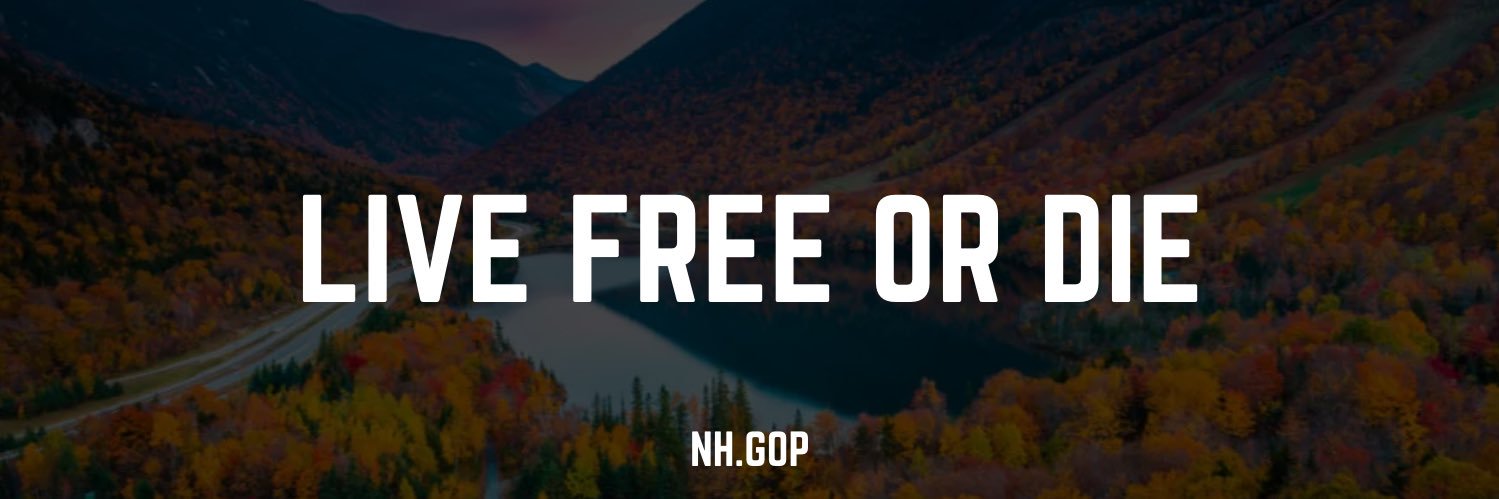 New Hampshire Republican Party's banner