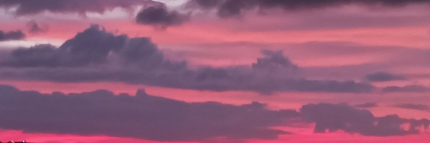 Lemperadorsalsa's profile banner image