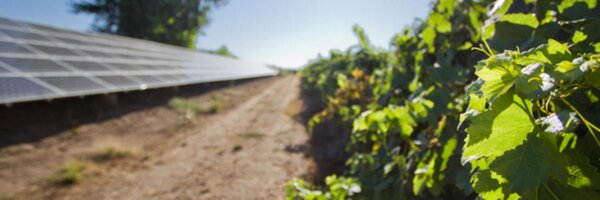 EDF_CA Profile Banner