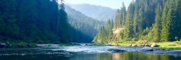 anyadoc Profile Banner