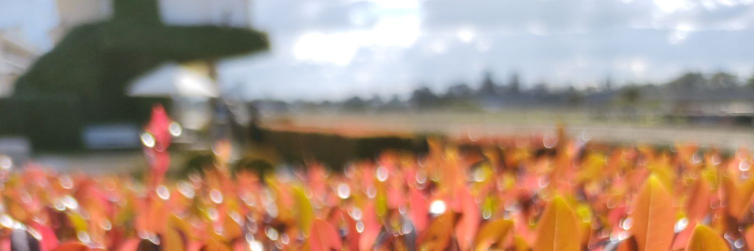 Ser Zuck banner