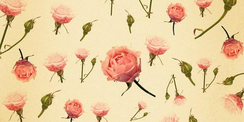 xOxOCtyC's profile banner image