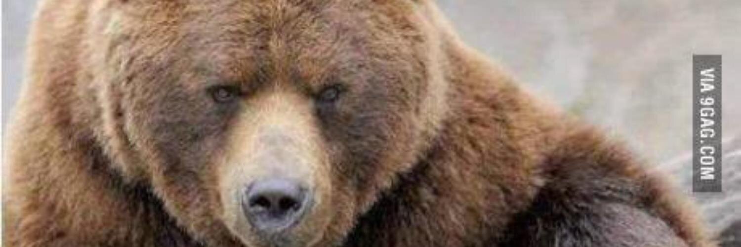KernsonofMog's profile banner image