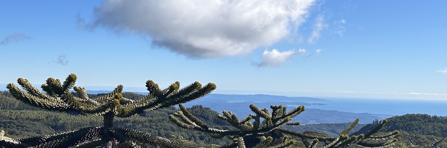 Jo Moncada Sáez banner