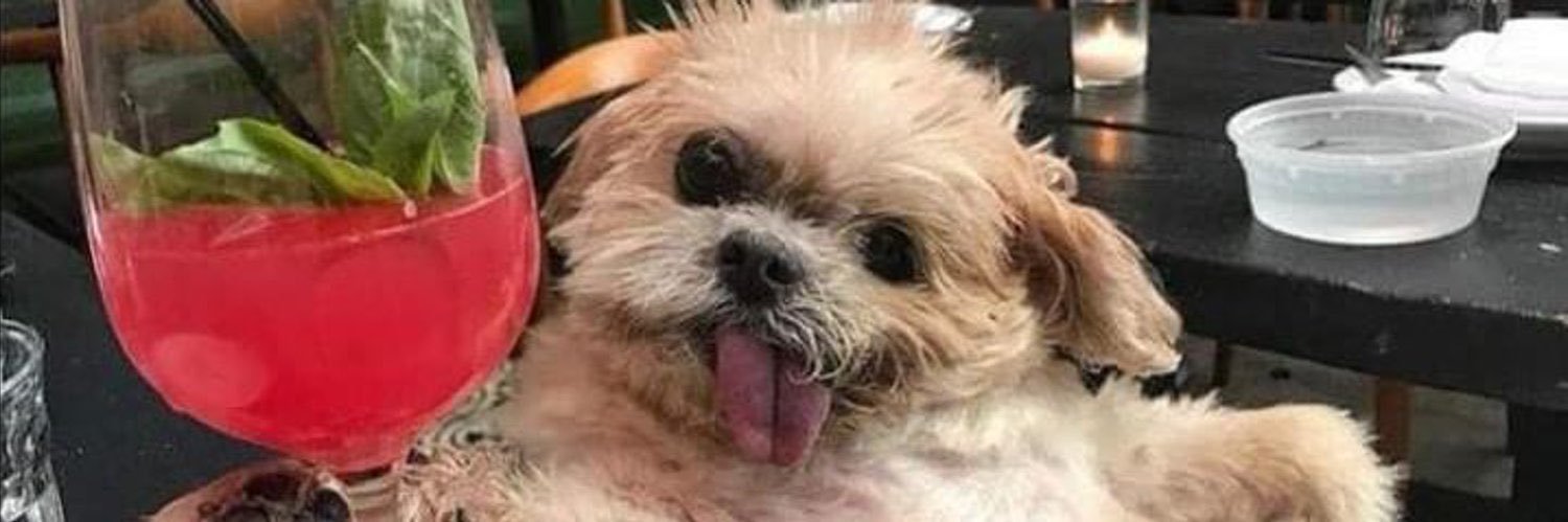 davidavid_'s profile banner image