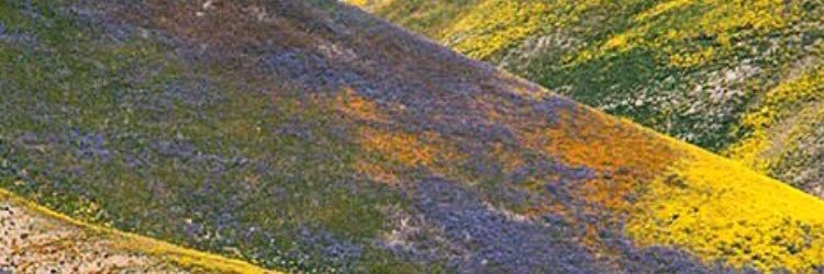 Lette411's profile banner image