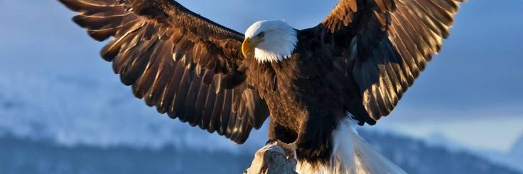 Teresaflecha's profile banner image