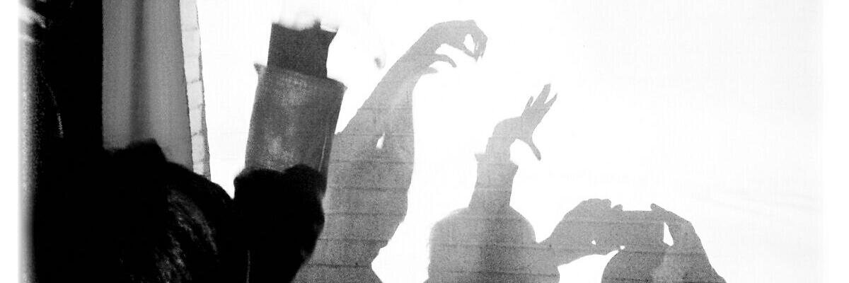 Lanimybru's profile banner image