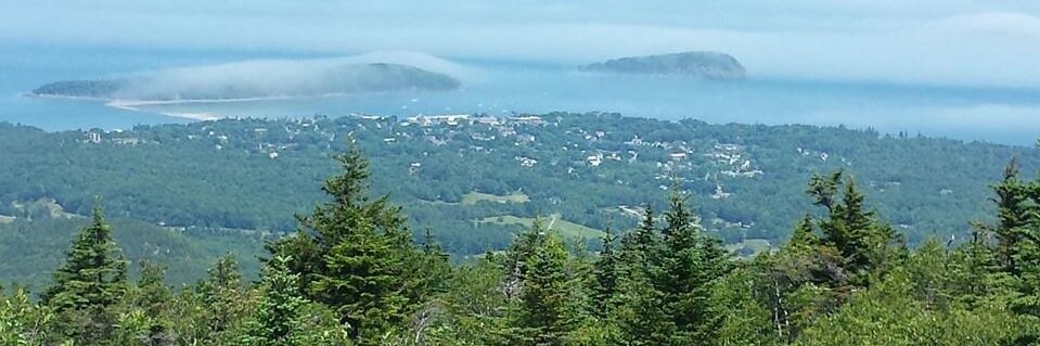 Judy Nelson Lewis banner