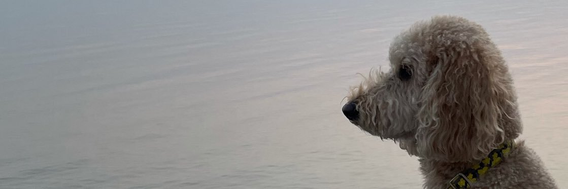 asmith721's profile banner image