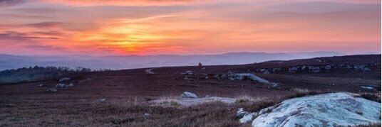Anna Woolliscroft banner