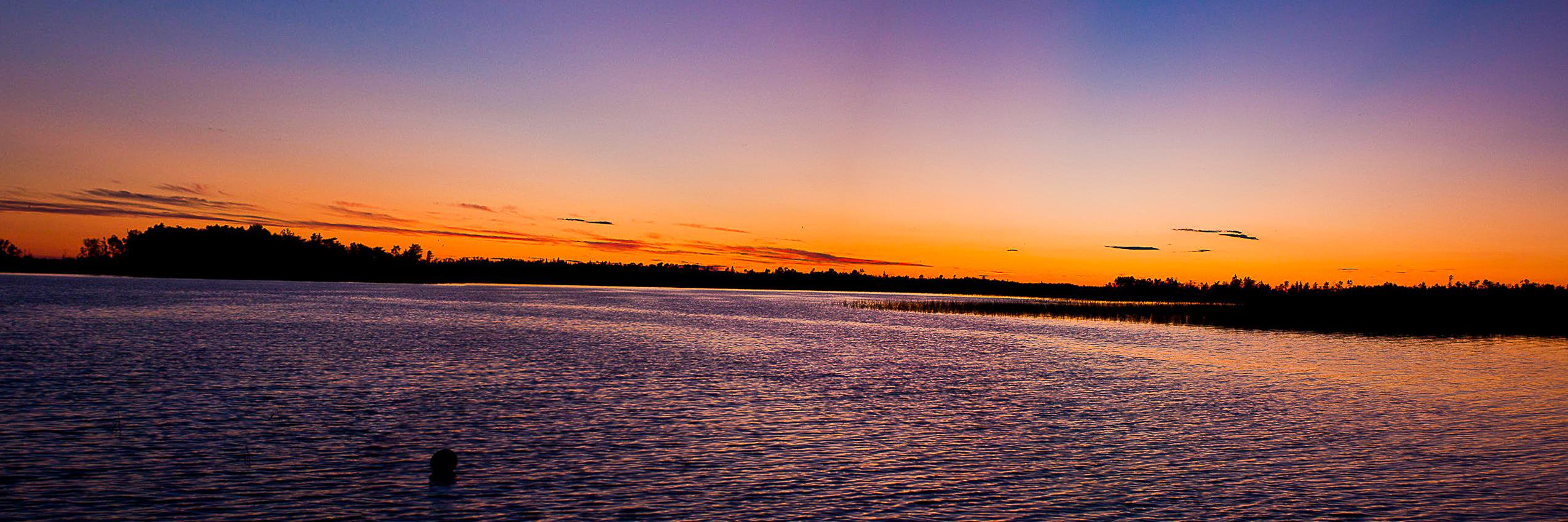 paul_orourke's profile banner image