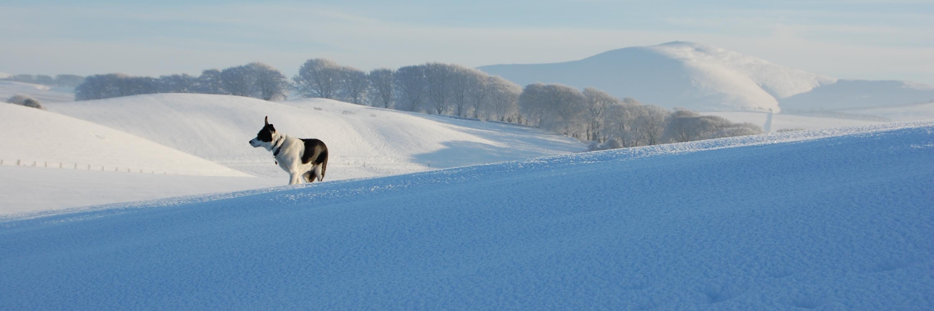 Mark Stephens banner