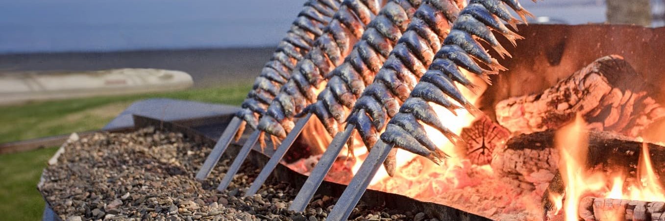 Elio Rojano ☀️ banner