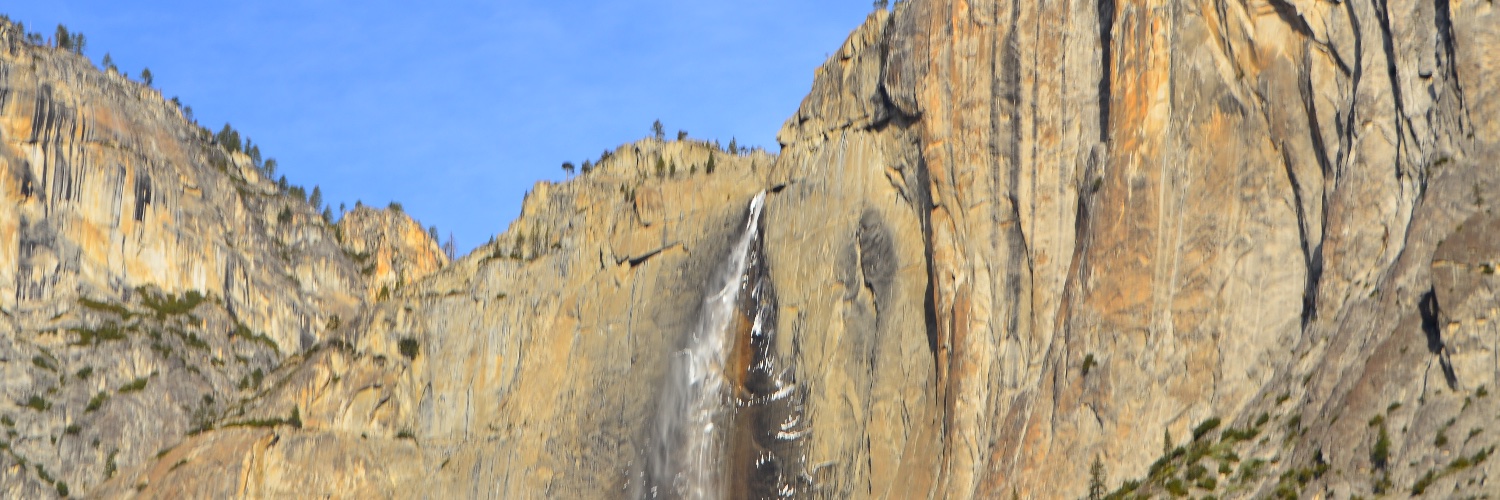 Priscilla Bacalhau banner