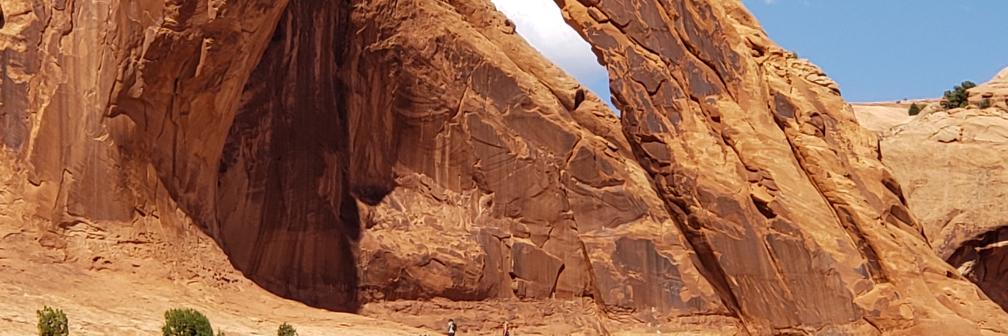 Merrill Brown banner