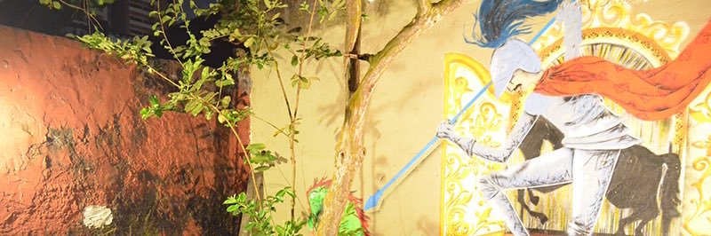 LuFajardo's profile banner image