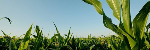 SeedWorld_US Profile Banner